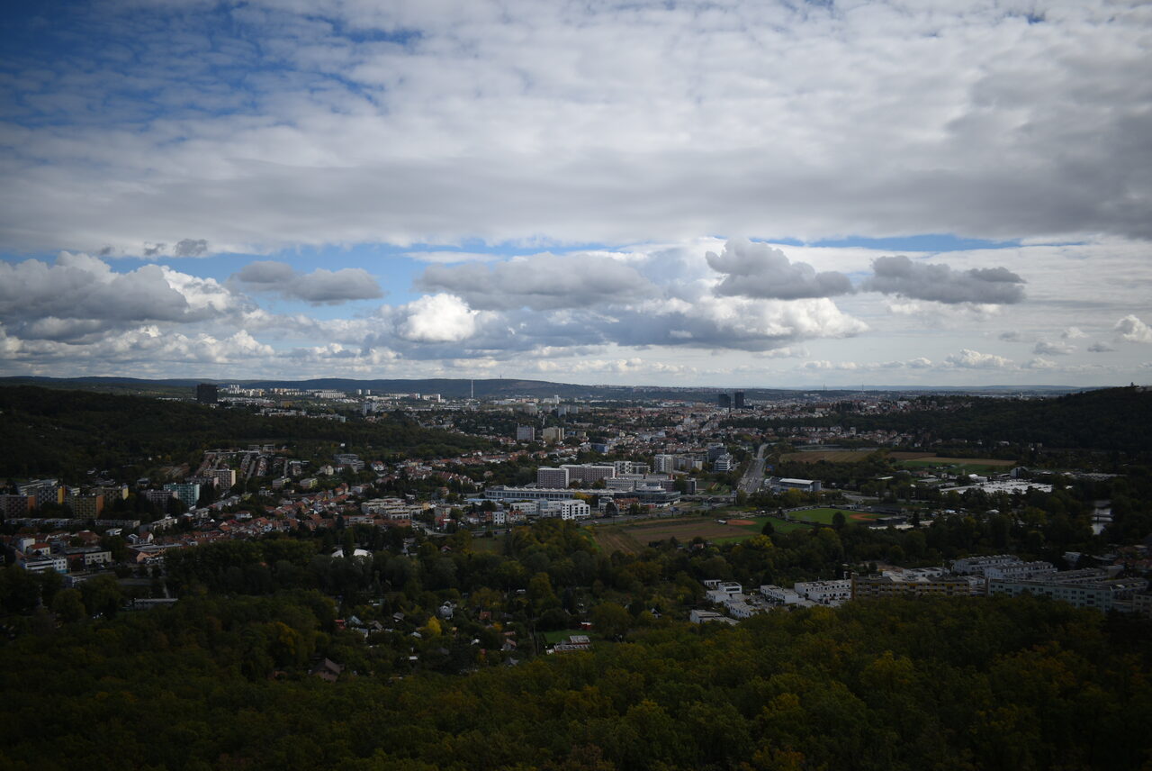 Untitled photograph