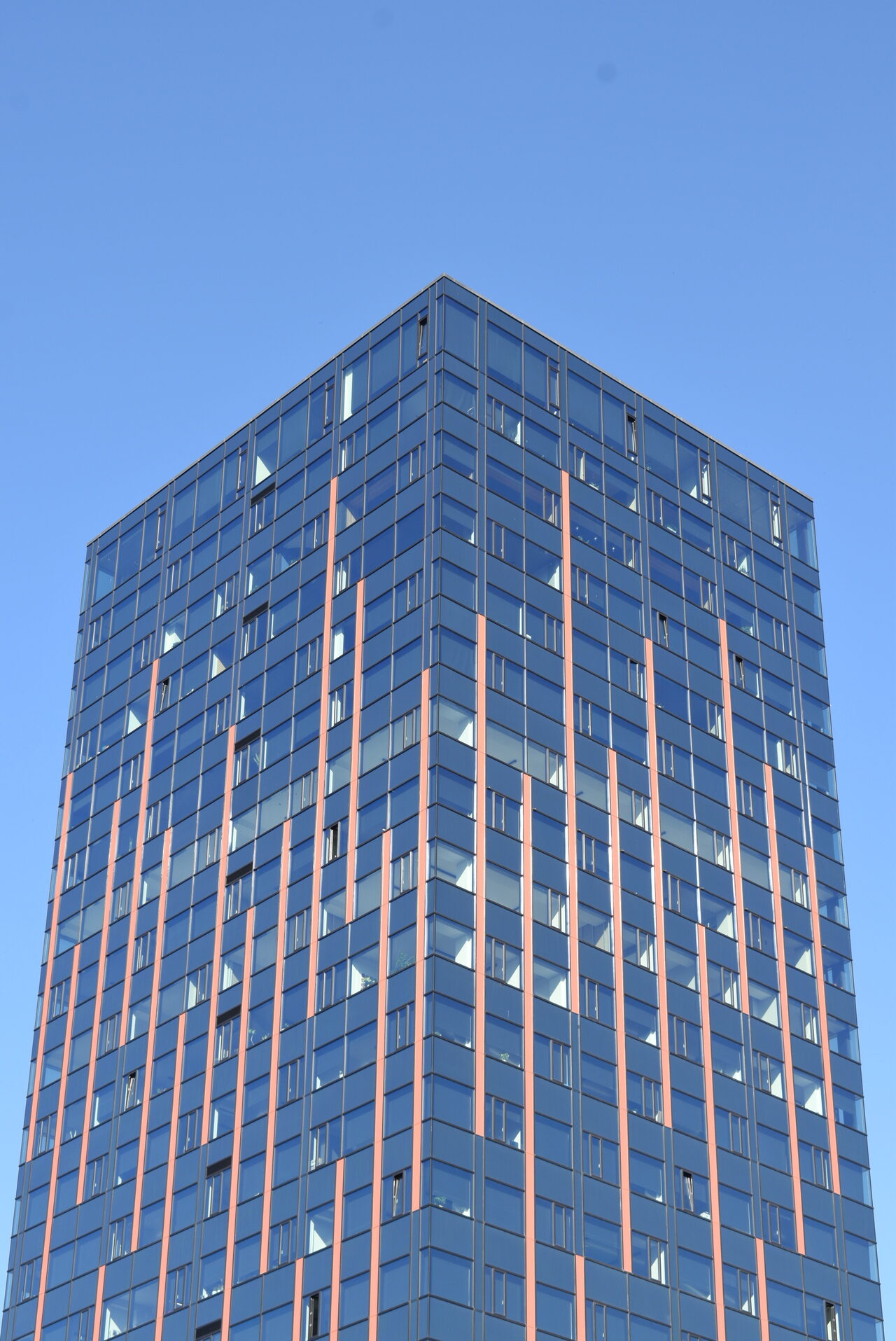 Untitled photograph