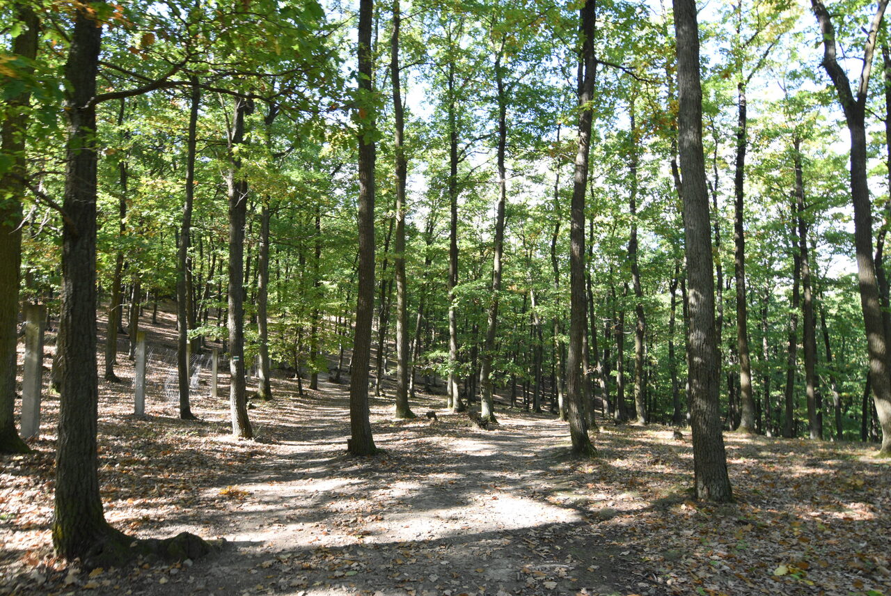 Untitled photograph