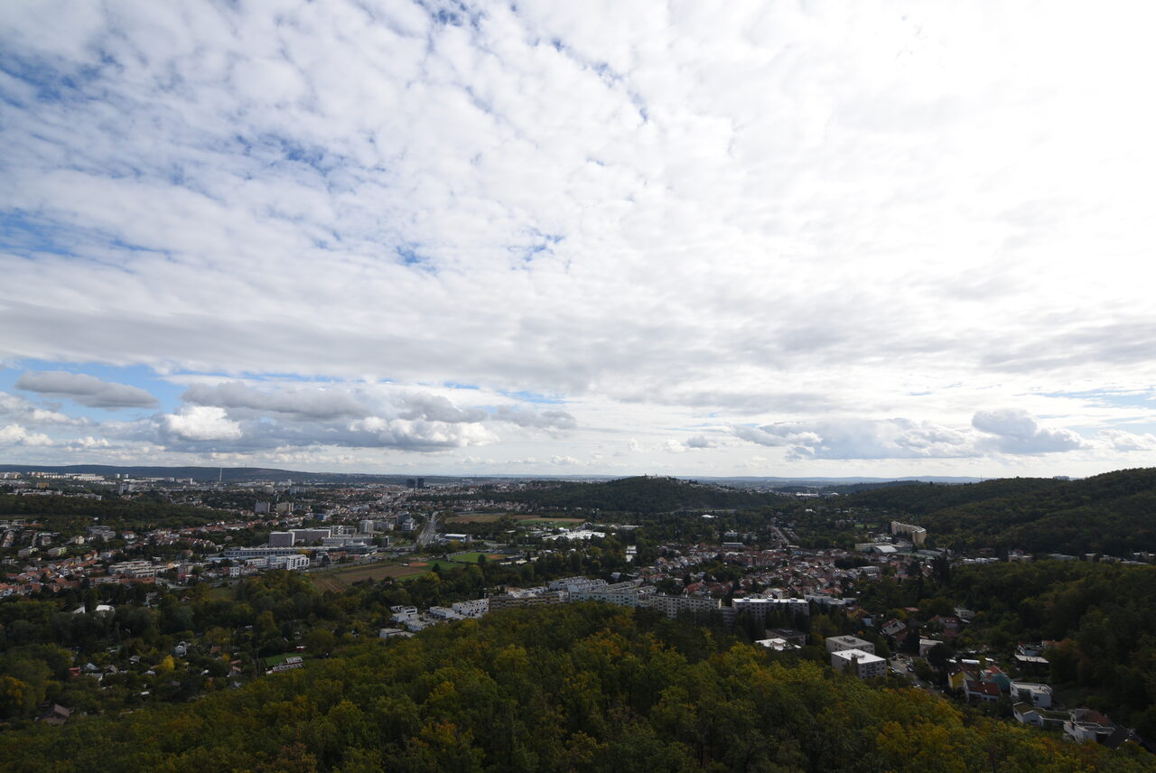 Untitled photograph
