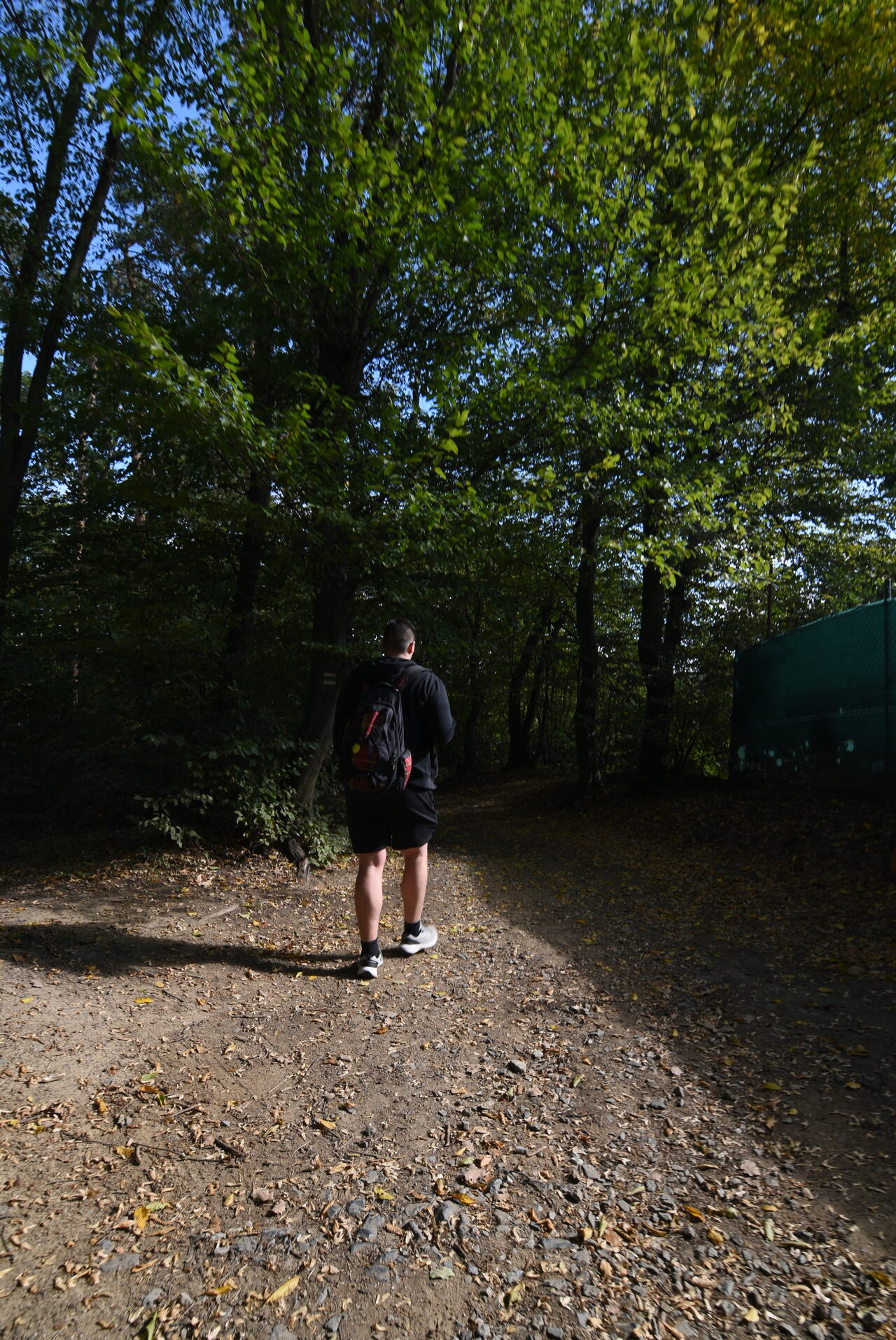 Untitled photograph